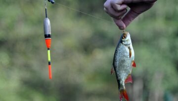 Lead Generators & Cold Calls: the Compliance Minefield for Financial Advisers